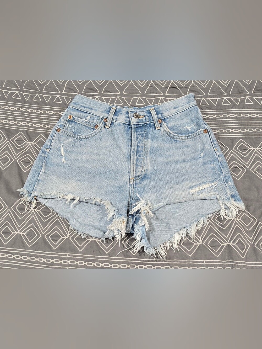 Agolde Parker High Waisted Vintage Cutoff Shorts